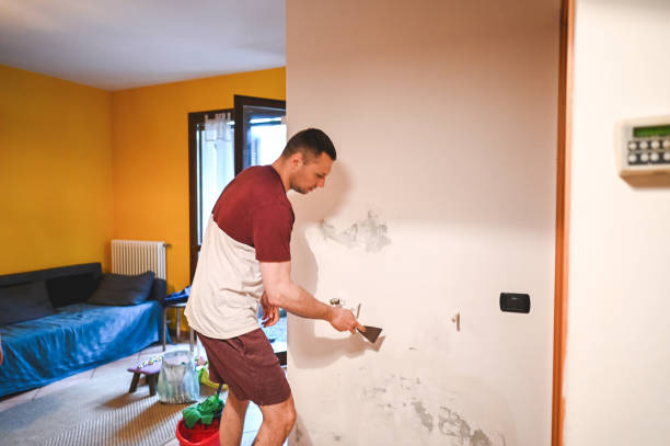Best Industrial Mold Remediation in Sto Brook, NY